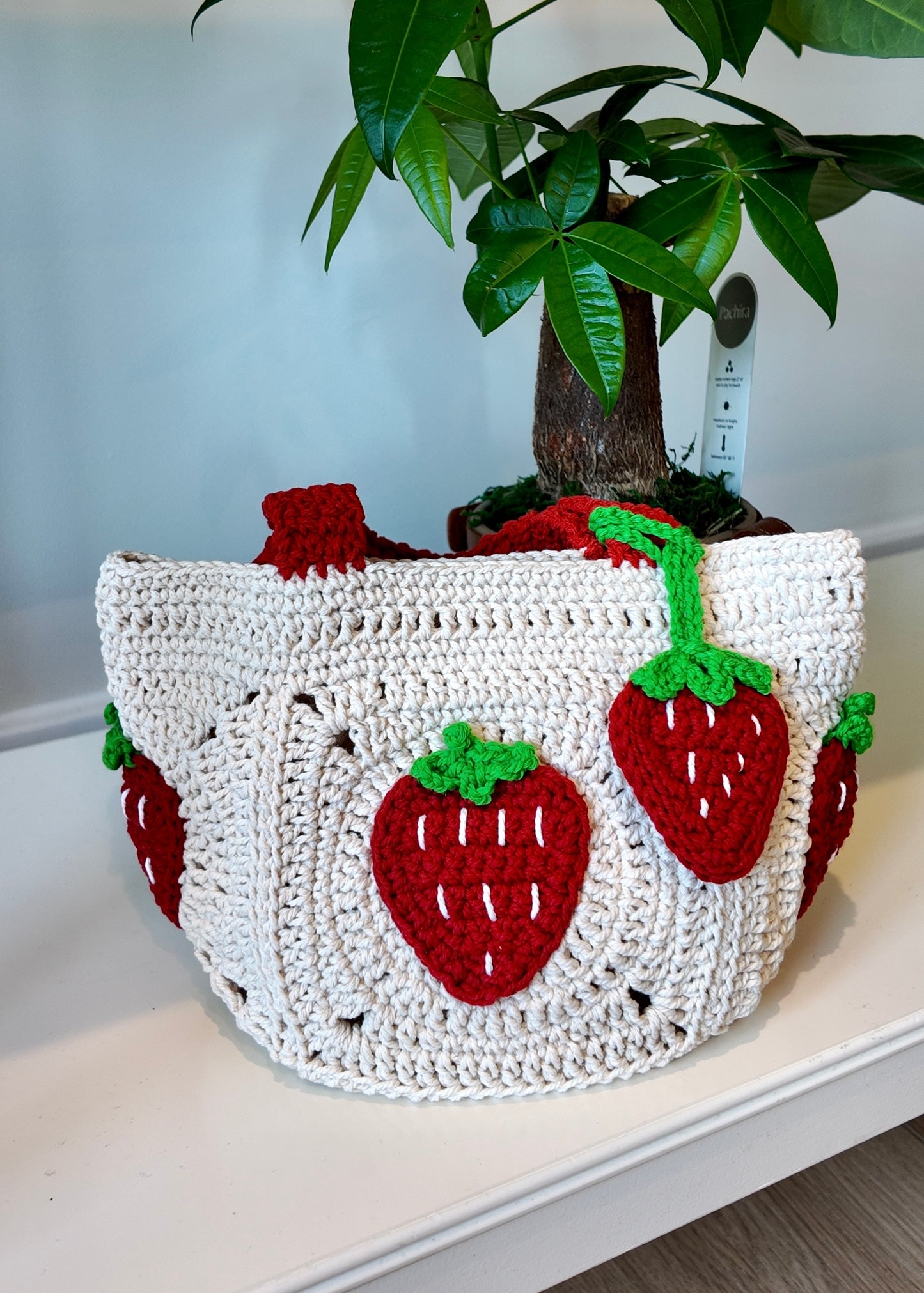 Small bag Fruit
